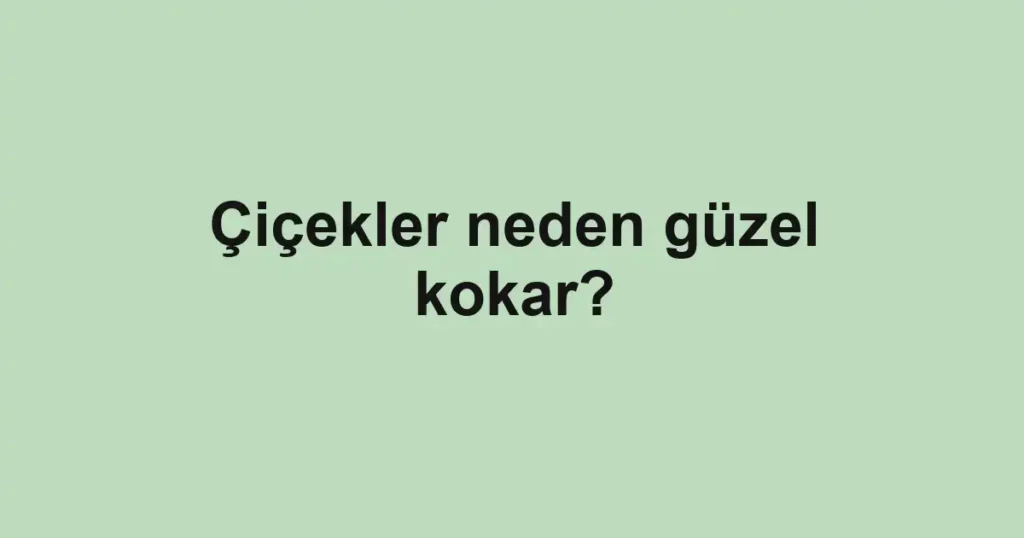 cicekler-neden-guzel-kokar