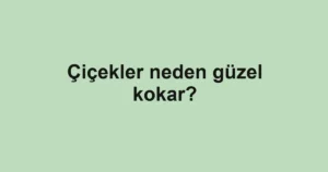 cicekler-neden-guzel-kokar