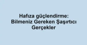 hafiza-guclendirme-bilmeniz-gereken-sasirtici-gercekler.webp